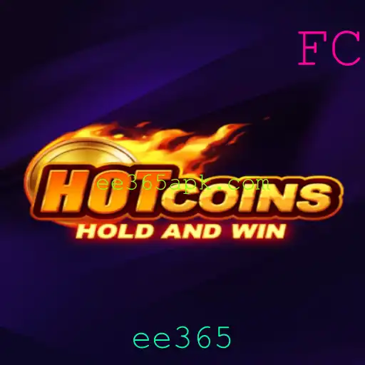 Explorando o Universo do HotCoins: Um Guia Abrangente para Novatos